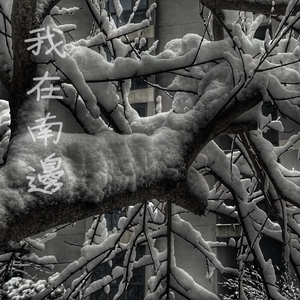 日本男女做爱全过程激情视频
